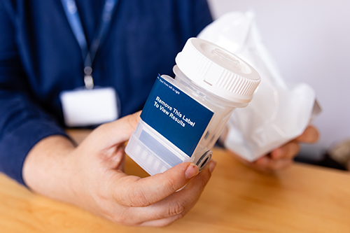 Scientist coducting a hair drug test